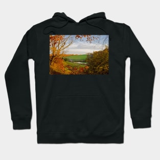 Winterthur Park Hoodie